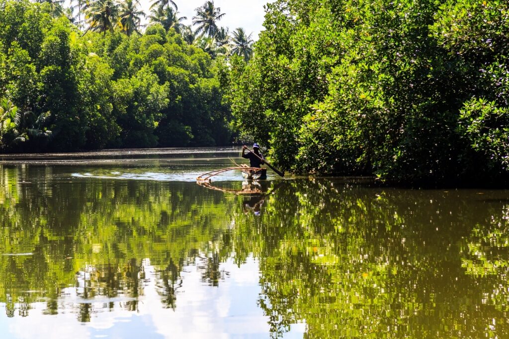 Man kayaking in Bentota River