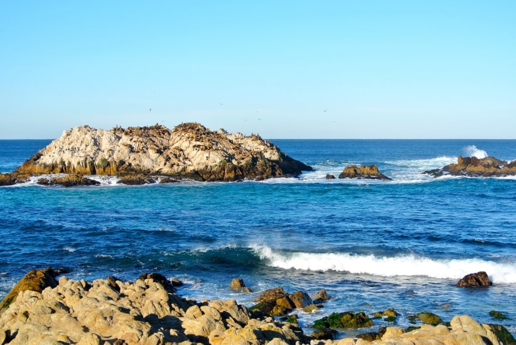 View of the iconic Bird Rock