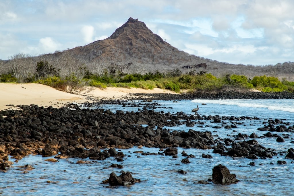 Rocky shoreline of Santa Cruz