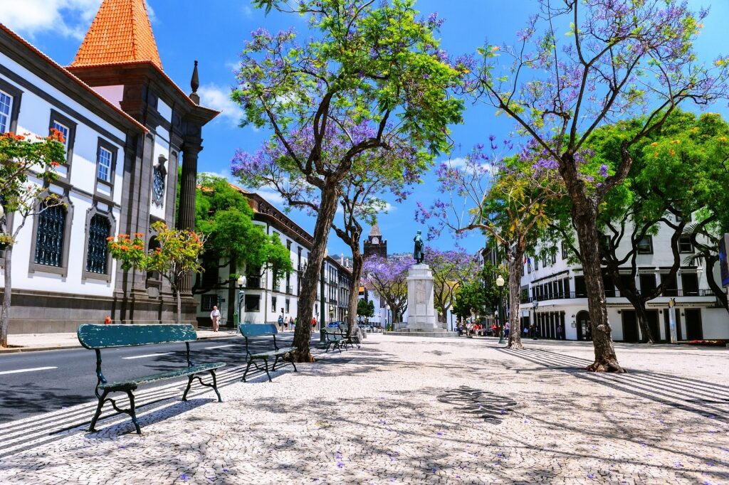 Street view of Zona Velha