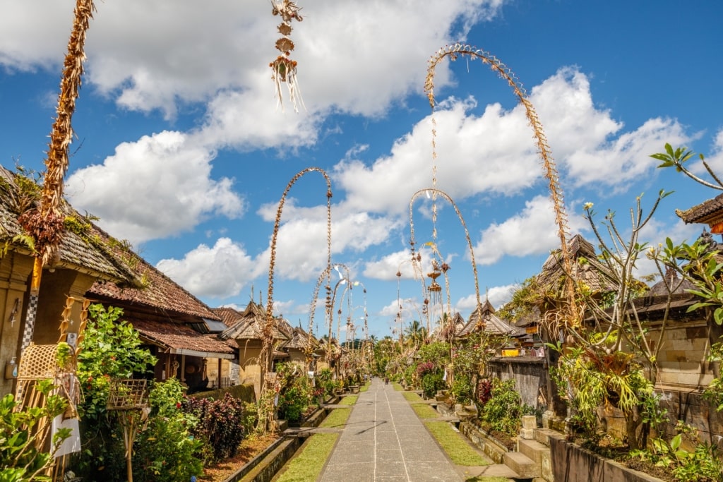 Street view of Penglipuran Village