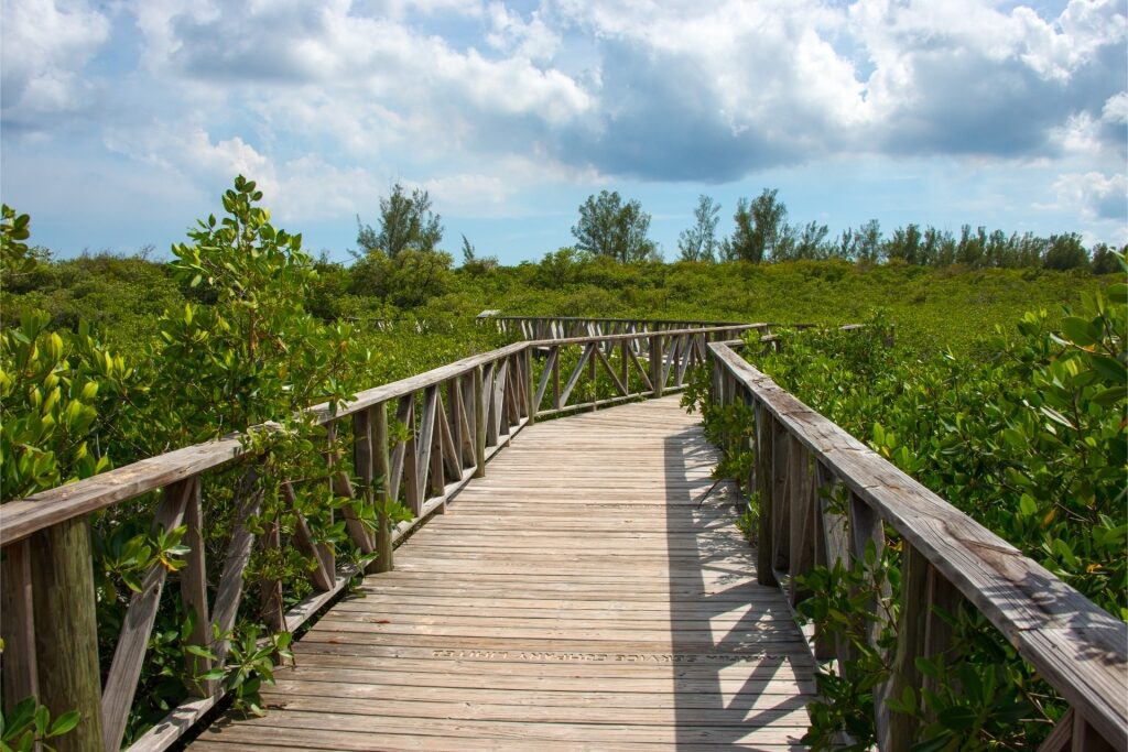 Trail in Lucayan National Park, Grand Bahama